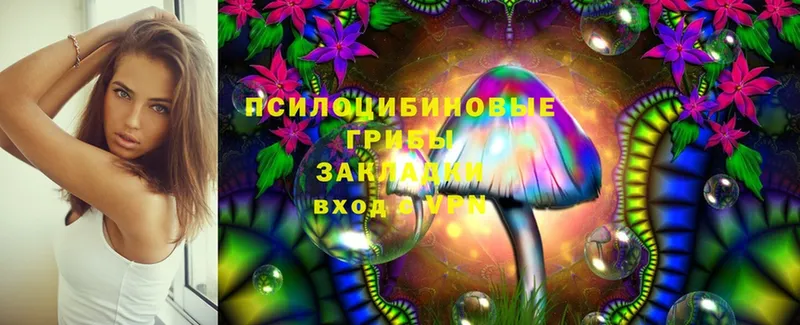 наркотики  Арамиль  Галлюциногенные грибы Psilocybe 